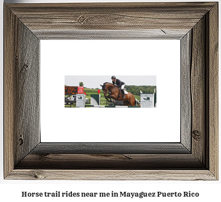 horse trail rides near me in Mayagez, Puerto Rico